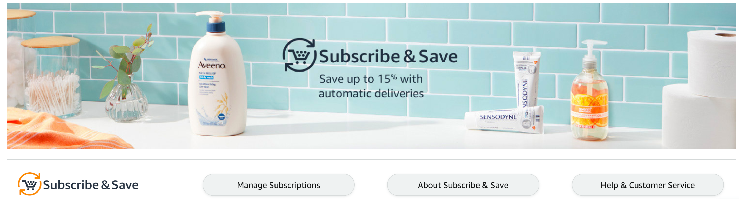 What is Amazon Subscribe & Save?